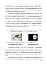 Referāts 'SiO2 nanodaļiņu ietekme uz Drosophila melanogaster (Meigen, 1830) attīstību un m', 17.