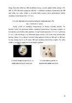 Referāts 'SiO2 nanodaļiņu ietekme uz Drosophila melanogaster (Meigen, 1830) attīstību un m', 18.