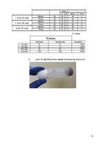 Referāts 'SiO2 nanodaļiņu ietekme uz Drosophila melanogaster (Meigen, 1830) attīstību un m', 25.