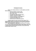 Konspekts 'Veiksmīgs komersants', 2.