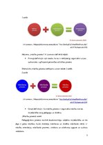 Referāts 'Skolotāja un skolēna mijiedarbība', 5.