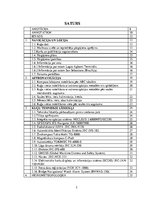 Diplomdarbs 'Pārgājiens', 2.