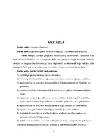 Diplomdarbs 'Pārgājiens', 7.