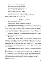 Diplomdarbs 'Pārgājiens', 18.