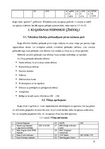 Diplomdarbs 'Pārgājiens', 25.