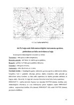 Diplomdarbs 'Pārgājiens', 41.