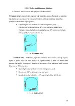 Diplomdarbs 'Pārgājiens', 55.