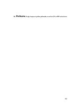 Diplomdarbs 'Pārgājiens', 162.