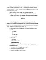 Konspekts 'Personība un indivīds', 3.