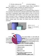 Referāts 'Karjeras izvēle', 19.