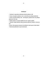 Referāts 'Karjeras izvēle', 24.