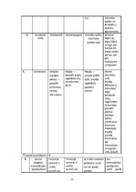 Biznesa plāns 'Biznesa plāns ekonomikā, uzņēmējdarbībā', 12.