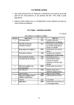 Biznesa plāns 'Biznesa plāns ekonomikā, uzņēmējdarbībā', 31.