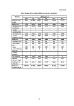 Biznesa plāns 'Biznesa plāns ekonomikā, uzņēmējdarbībā', 33.