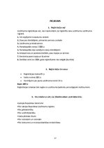 Biznesa plāns 'Biznesa plāns ekonomikā, uzņēmējdarbībā', 37.