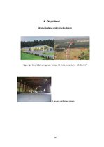 Biznesa plāns 'Biznesa plāns ekonomikā, uzņēmējdarbībā', 38.