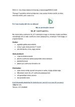 Biznesa plāns 'Biznesa plāns ekonomikā, uzņēmējdarbībā', 39.