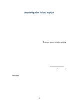 Biznesa plāns 'Biznesa plāns ekonomikā, uzņēmējdarbībā', 40.