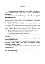 Diplomdarbs 'Darba vides ergonomika Dienvidkurzemes reģionālajā lauksaimniecības pārvaldē', 2.