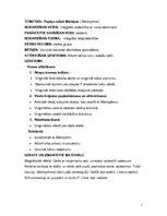 Konspekts 'Integrēta nodarbība pirmsskolā', 1.