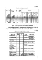 Referāts 'SIA "AZK" reklāmas plāns', 14.