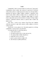 Referāts 'Patstāvīgais darbs stratēģiskajā vadībzinībā - Rīgas Brīvostas analīze', 3.