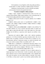 Referāts 'Patstāvīgais darbs stratēģiskajā vadībzinībā - Rīgas Brīvostas analīze', 5.