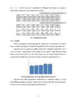 Referāts 'Patstāvīgais darbs stratēģiskajā vadībzinībā - Rīgas Brīvostas analīze', 11.