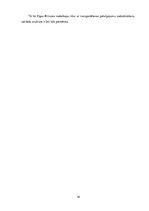 Referāts 'Patstāvīgais darbs stratēģiskajā vadībzinībā - Rīgas Brīvostas analīze', 16.