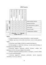 Referāts 'Patstāvīgais darbs stratēģiskajā vadībzinībā - Rīgas Brīvostas analīze', 18.