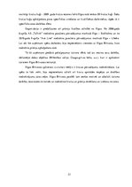 Referāts 'Patstāvīgais darbs stratēģiskajā vadībzinībā - Rīgas Brīvostas analīze', 23.