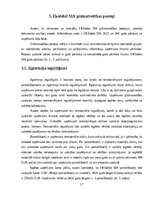 Prakses atskaite 'Grāmatvedības prakses atskaite', 17.