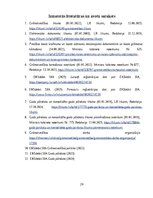 Prakses atskaite 'Grāmatvedības prakses atskaite', 29.