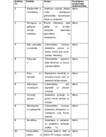 Prakses atskaite 'Grāmatvedības prakses atskaite', 32.