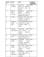 Prakses atskaite 'Grāmatvedības prakses atskaite', 34.
