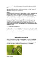 Konspekts 'Tropiskās slimības', 11.