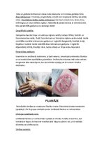 Konspekts 'Tropiskās slimības', 13.