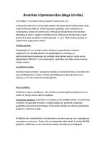 Konspekts 'Tropiskās slimības', 15.