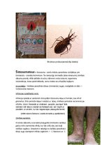 Konspekts 'Tropiskās slimības', 16.