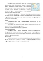 Referāts 'Korejas nacionālā virtuve', 5.