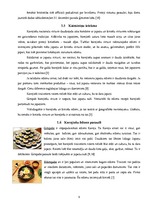 Referāts 'Korejas nacionālā virtuve', 9.