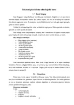 Referāts 'Korejas nacionālā virtuve', 13.