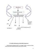 Prakses atskaite 'Sociālā gadījuma risināšana', 23.
