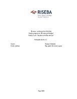 Referāts 'Karjeras attīstības teorijas', 1.