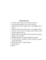 Prakses atskaite 'Pētnieciskās prakses materiāli', 6.