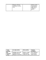 Prakses atskaite 'Pētnieciskās prakses materiāli', 15.