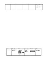 Prakses atskaite 'Pētnieciskās prakses materiāli', 29.