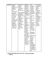 Prakses atskaite 'Pētnieciskās prakses materiāli', 30.