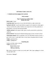 Prakses atskaite 'Pētnieciskās prakses materiāli', 54.