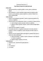 Paraugs 'Oma likuma maiņstrāvas ķēdē pārbaude', 1.